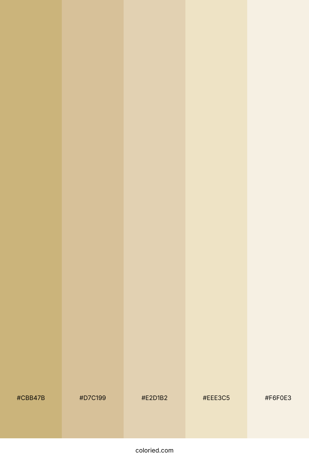 Sandstone and Desert Color Palette