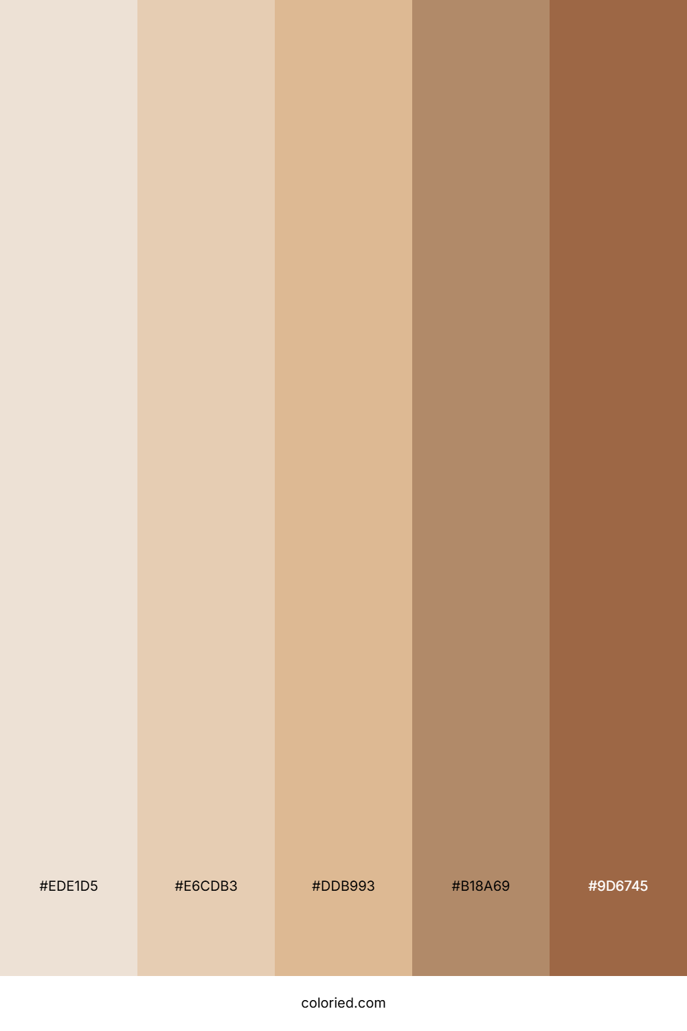 Sandstone Drift Color Palette