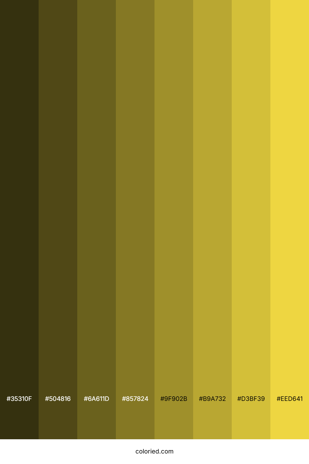 Sandstorm Color Shades