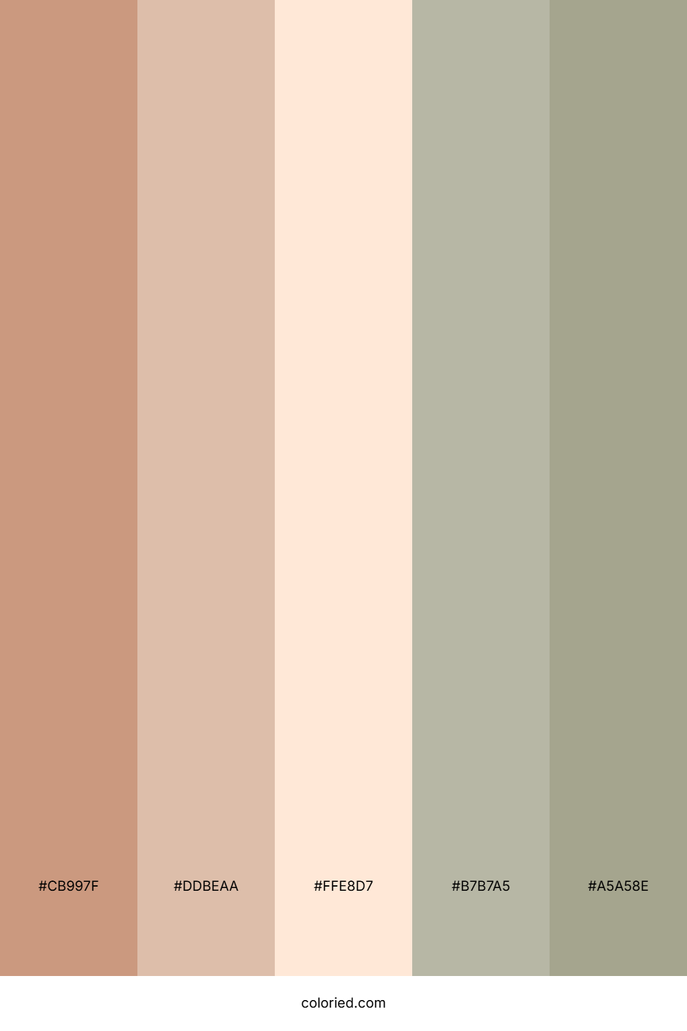 Sandy Beach Walk Color Palette