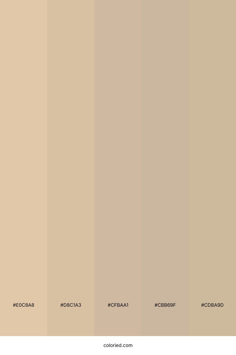 Sandy Beige and Tan Color Palette