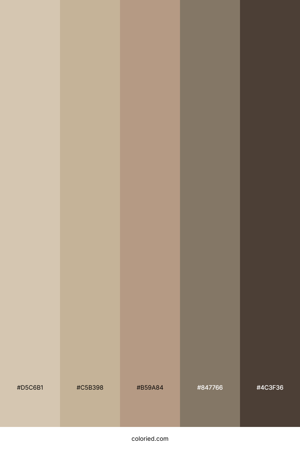 Sandy Beige Brown Color Palette