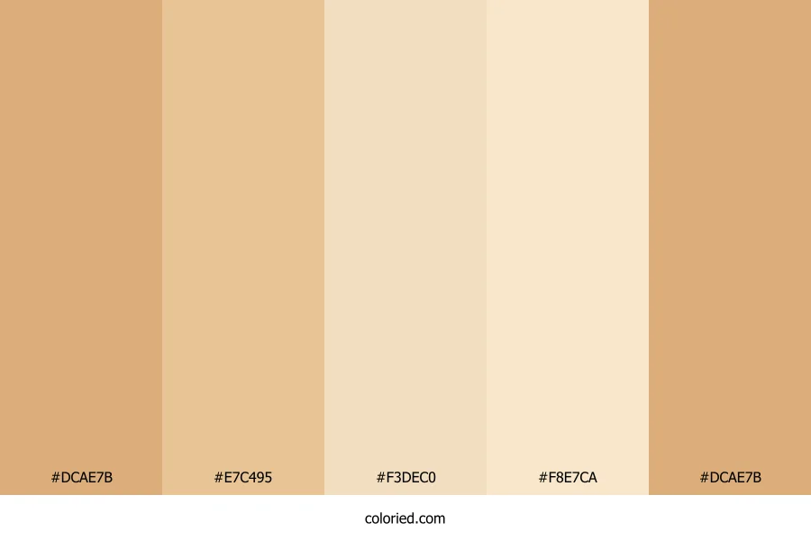 Sandy Blush Color Palette