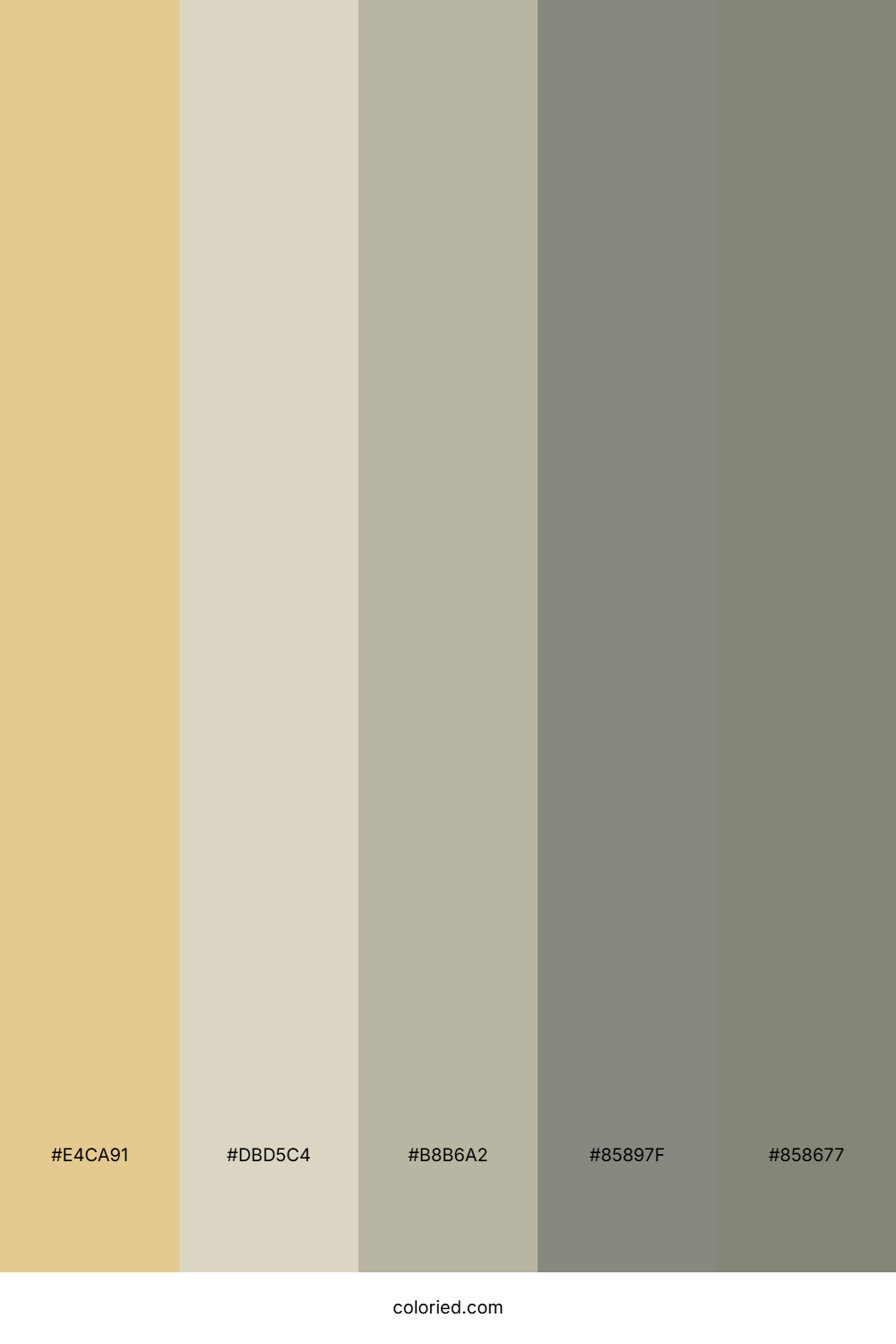 Sandy Dune Shadow Color Palette