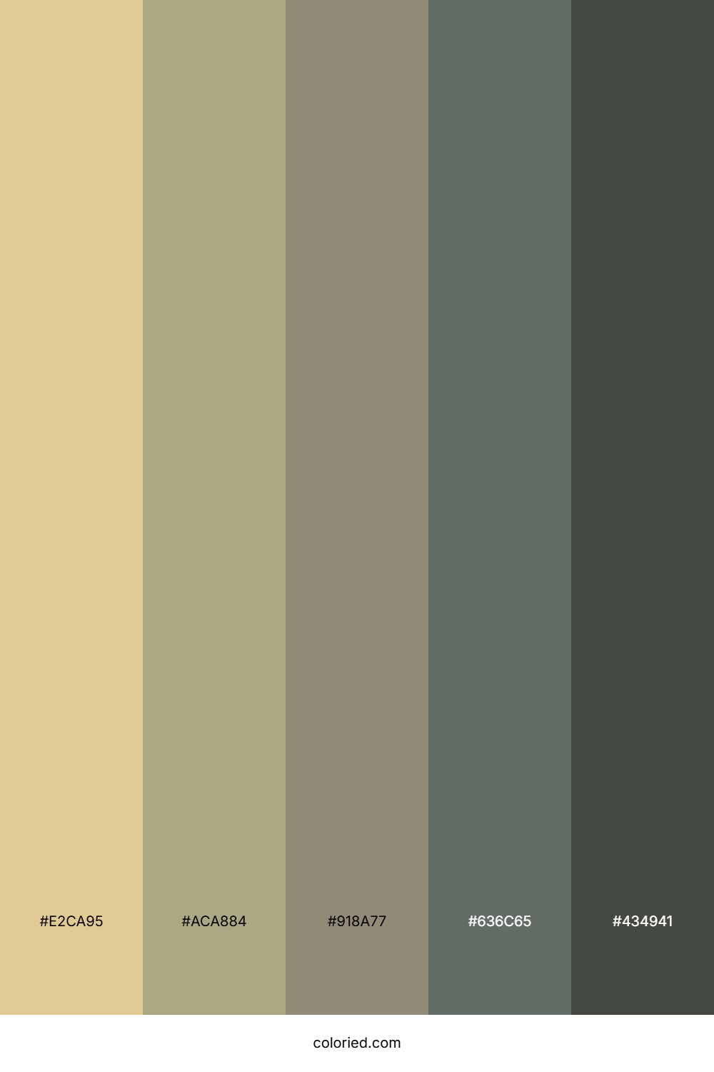 Sandy Dune Shadows Color Palette
