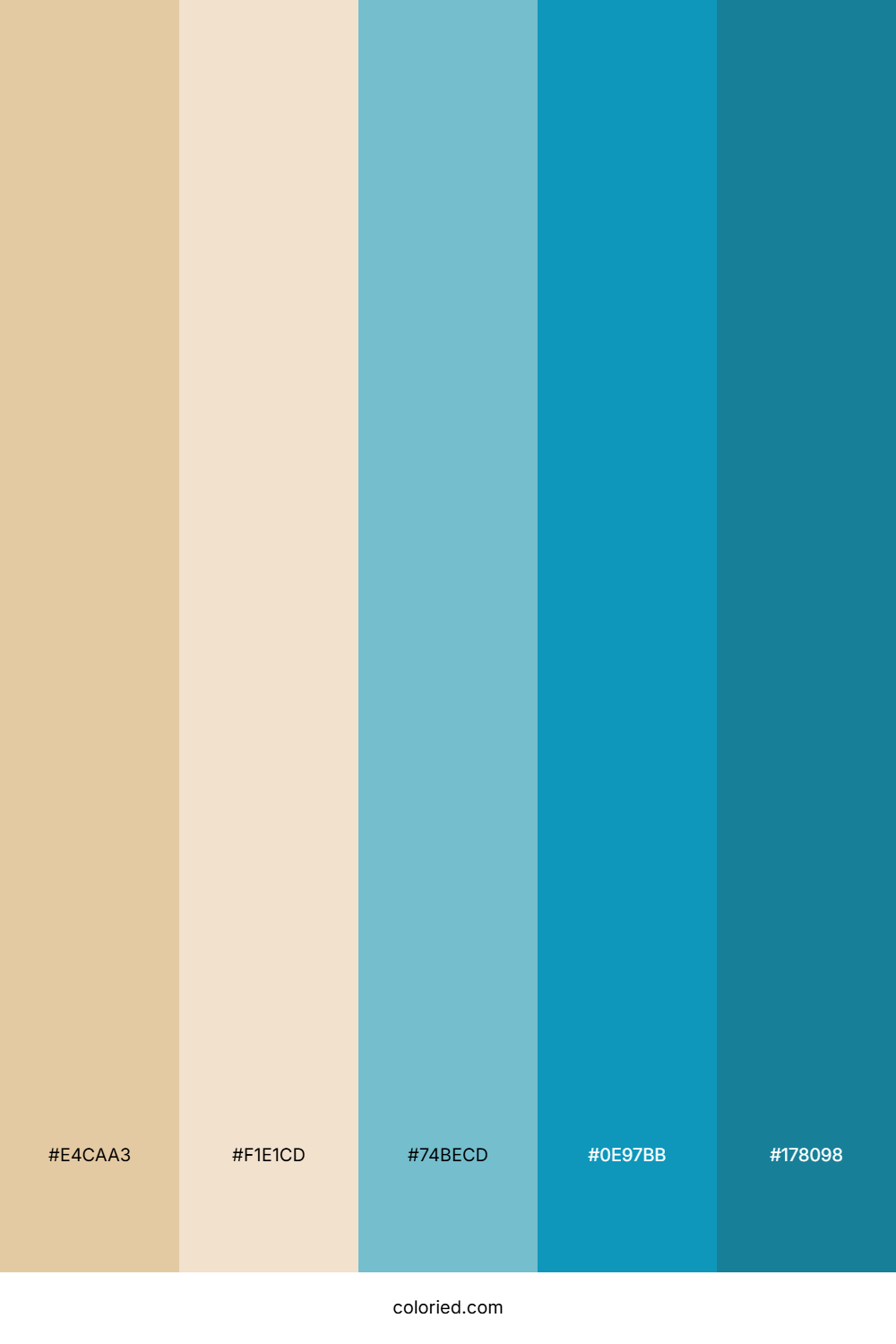 Sandy Dunes Ocean Color Palette