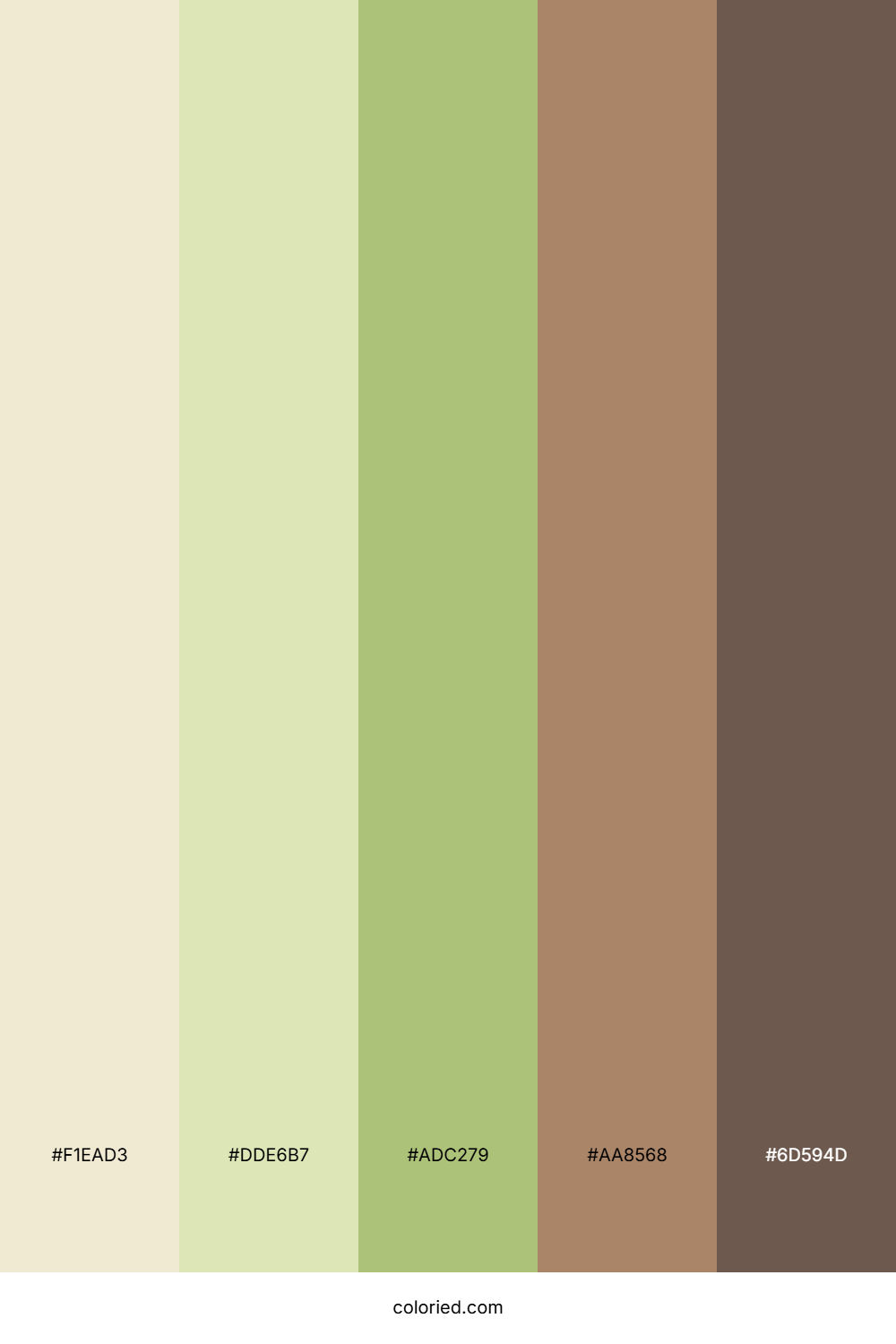 Sandy Olive Grove Palette