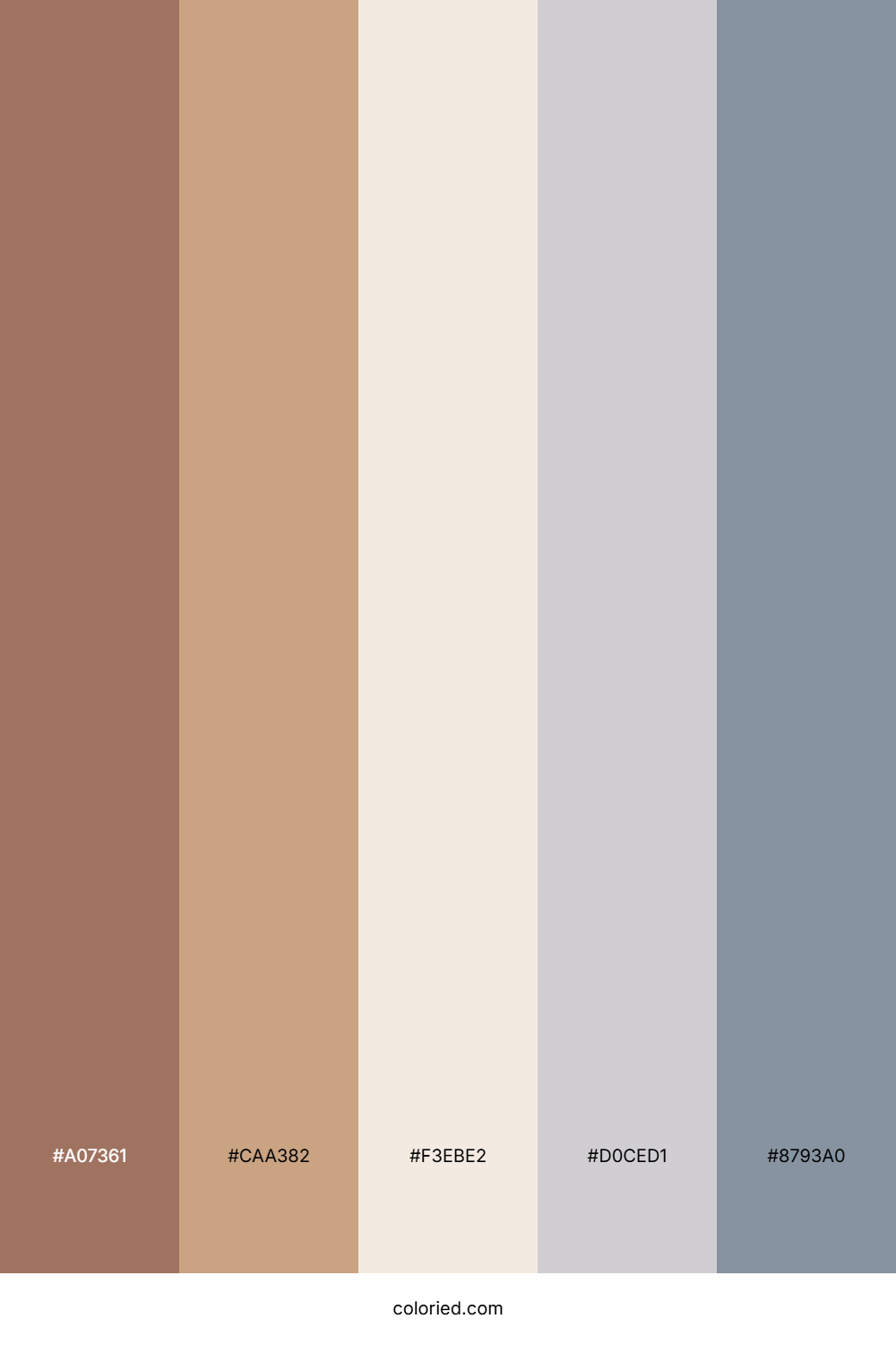 Sandy Shoreline Calm Palette