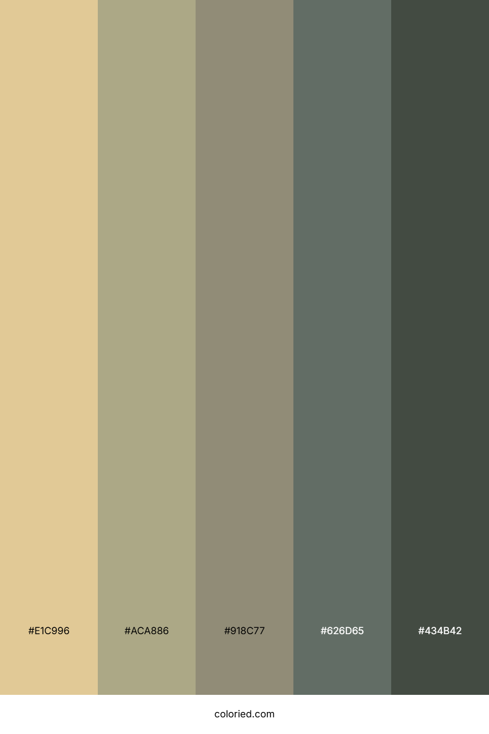 Sandy Stone Grove Color Palette