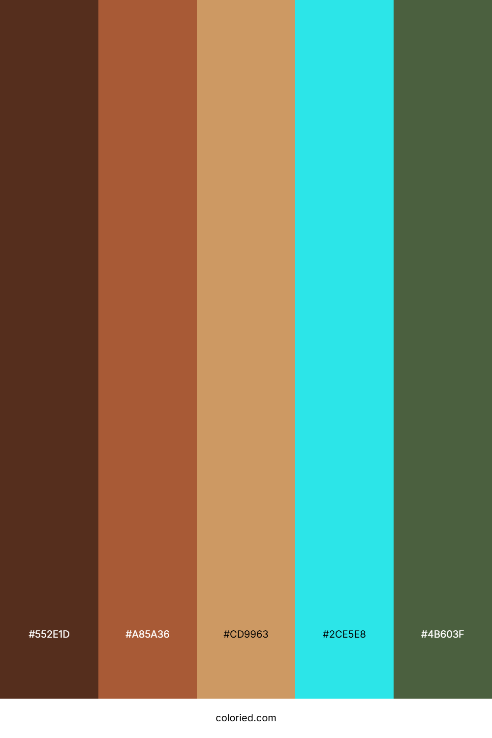 Sandy Teal Aqua Palette