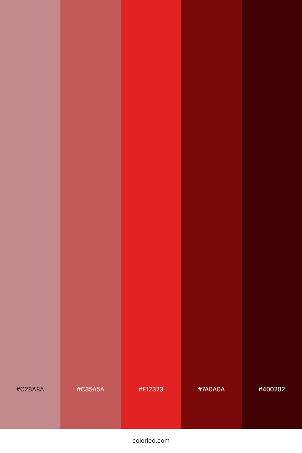 Scarlet and Maroon Color Palette