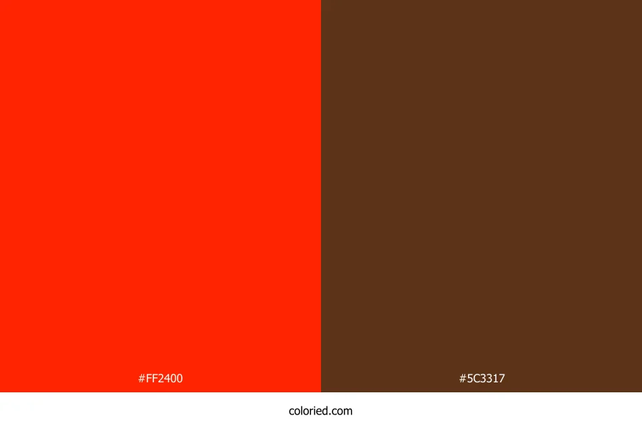 Scarlet Red and Chocolate Brown Dress Combination