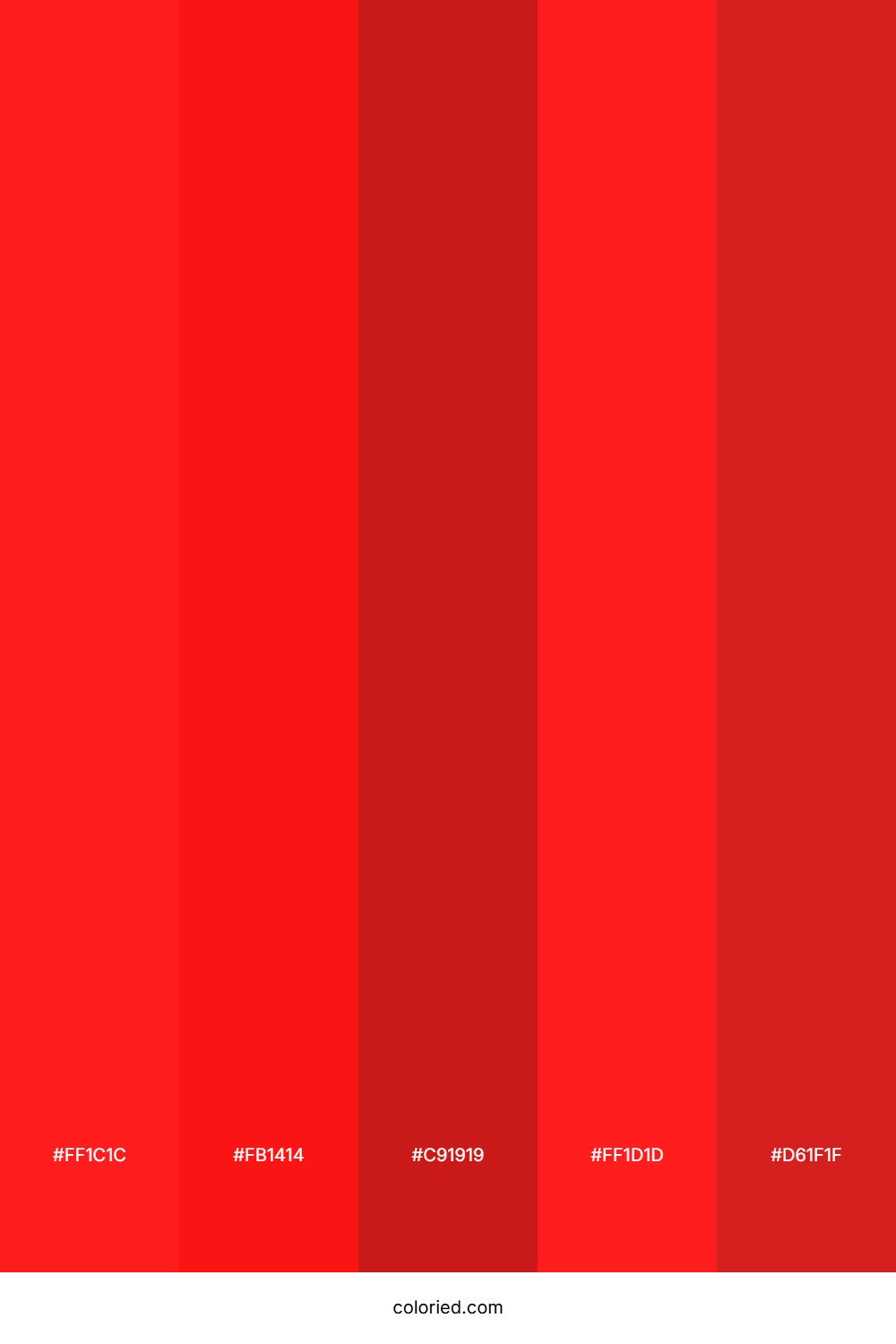 Scarlet Red and Ruby Red Color Palette
