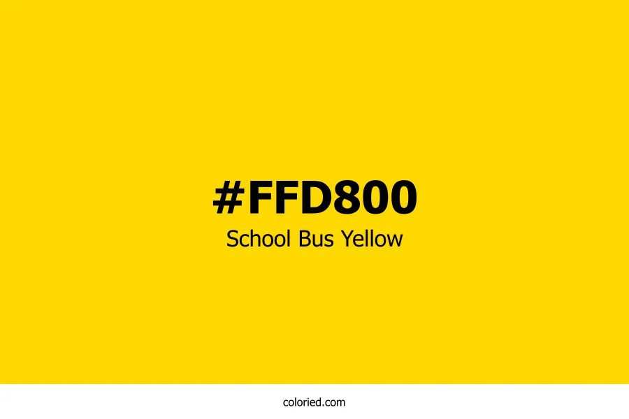School Bus Yellow Color