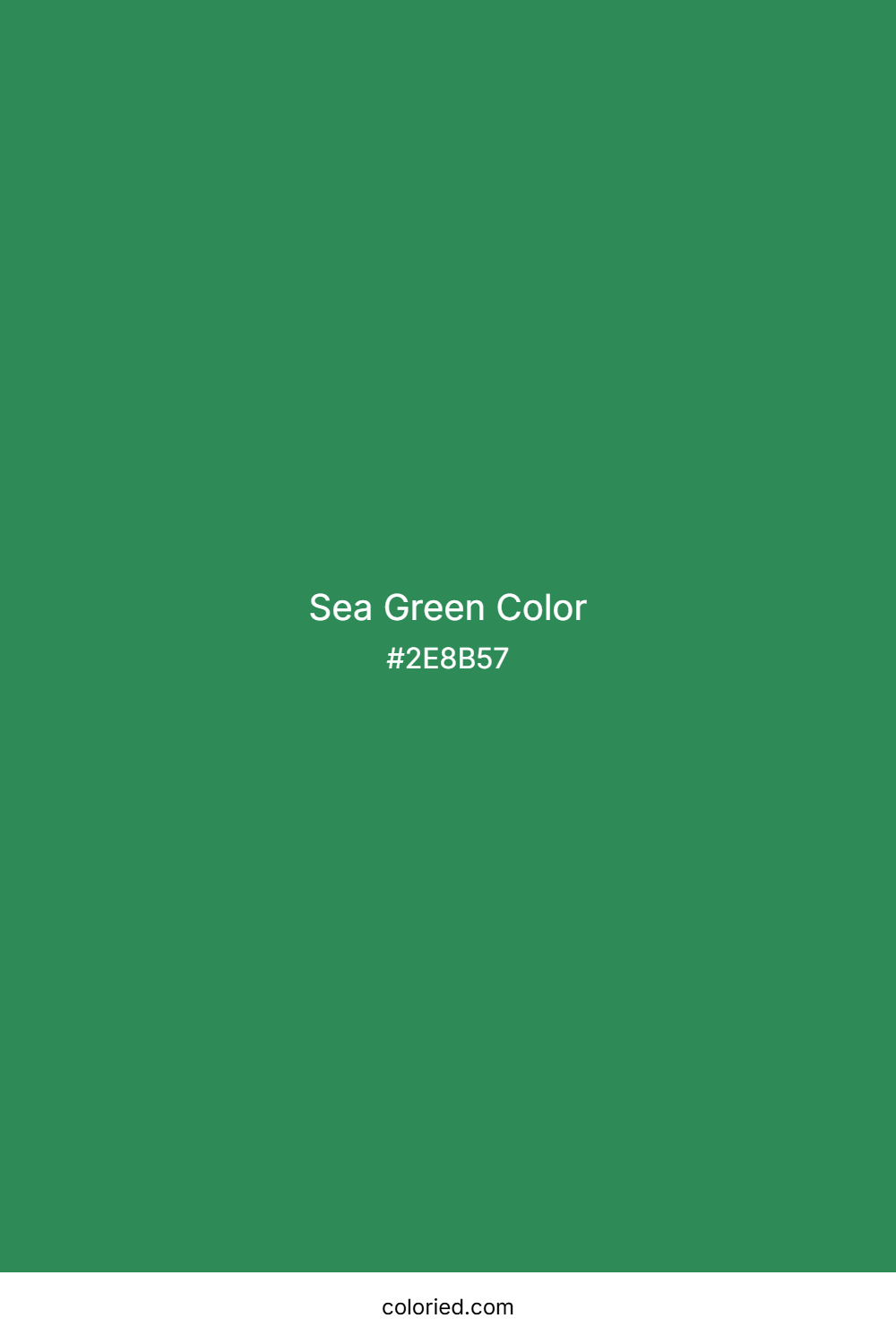 Sea Green Color