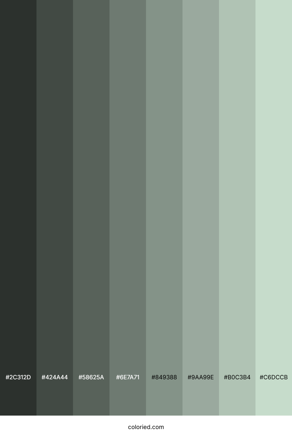 Sea Mist Color Shades