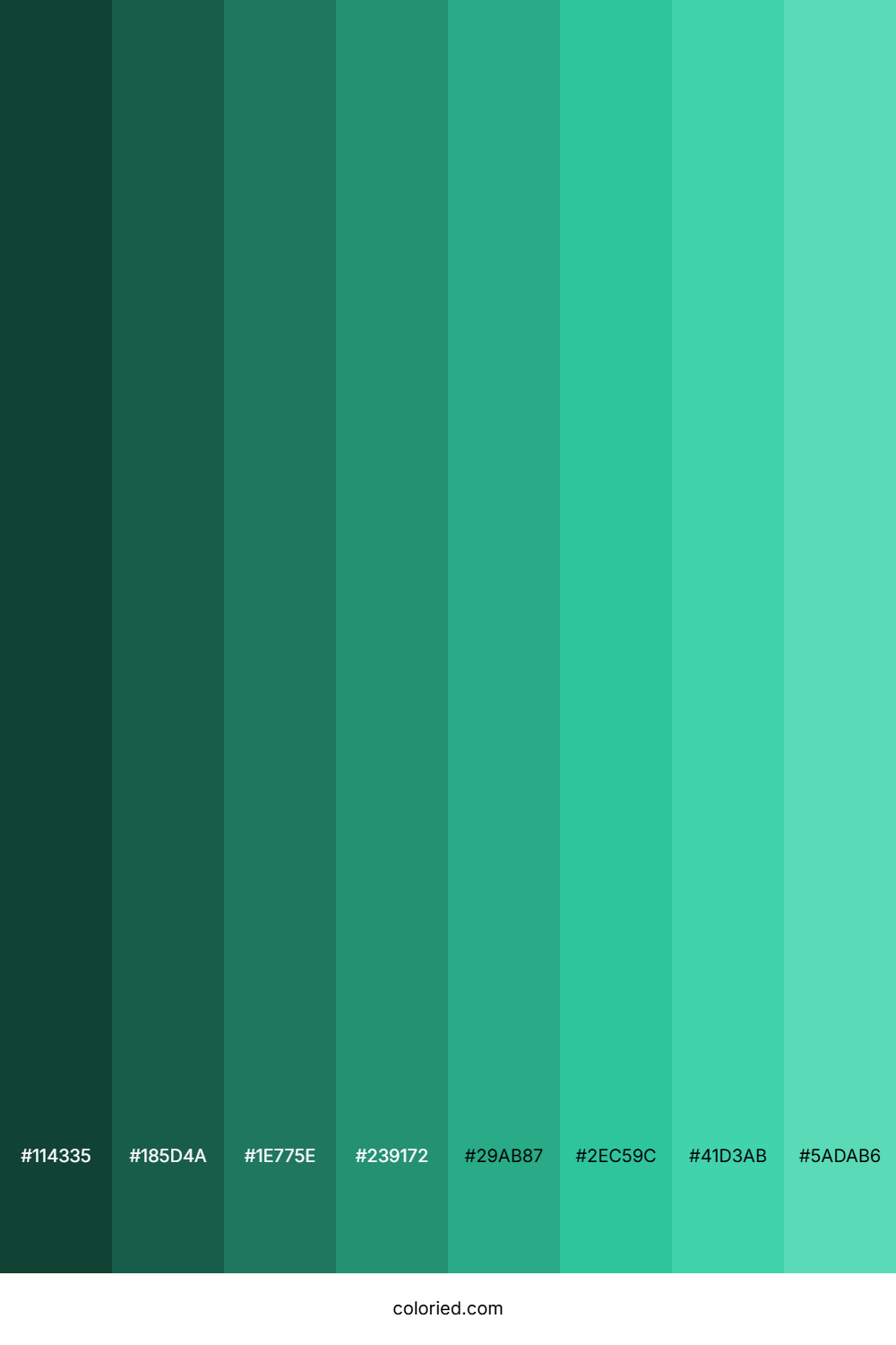 Sea Teal Shades