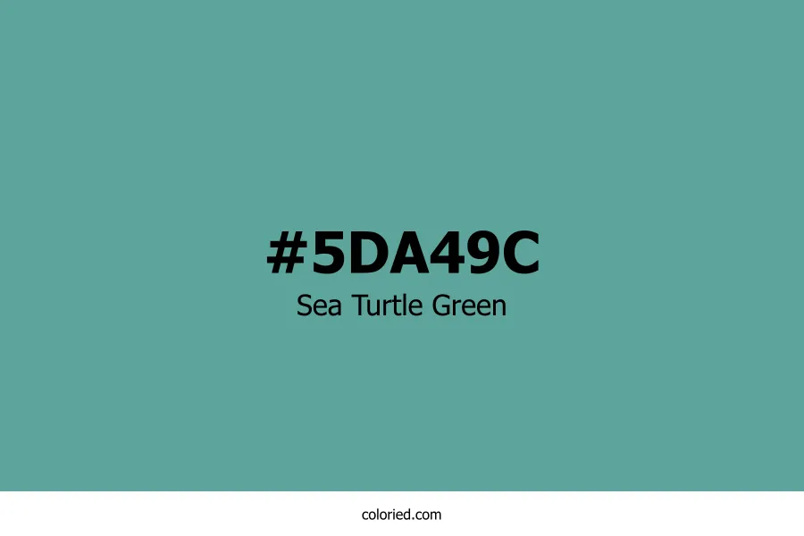 Sea Turtle Green Color