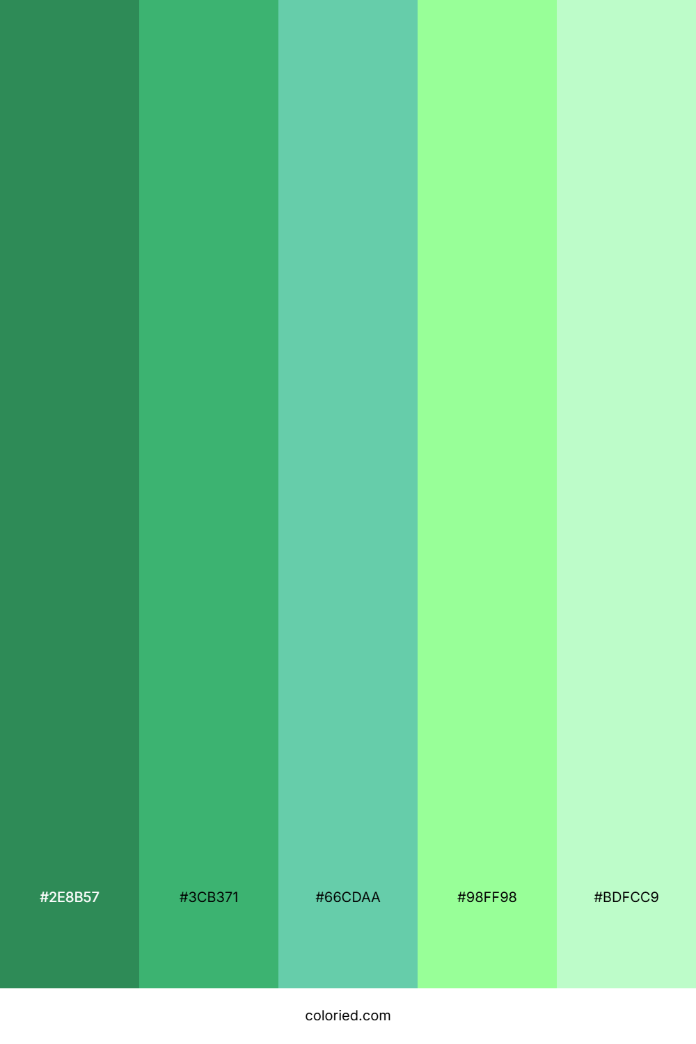 Seafoam and Mint Color Palette