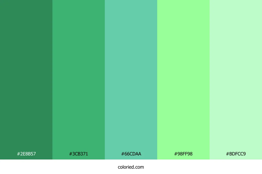 Seafoam and Mint Color Palette