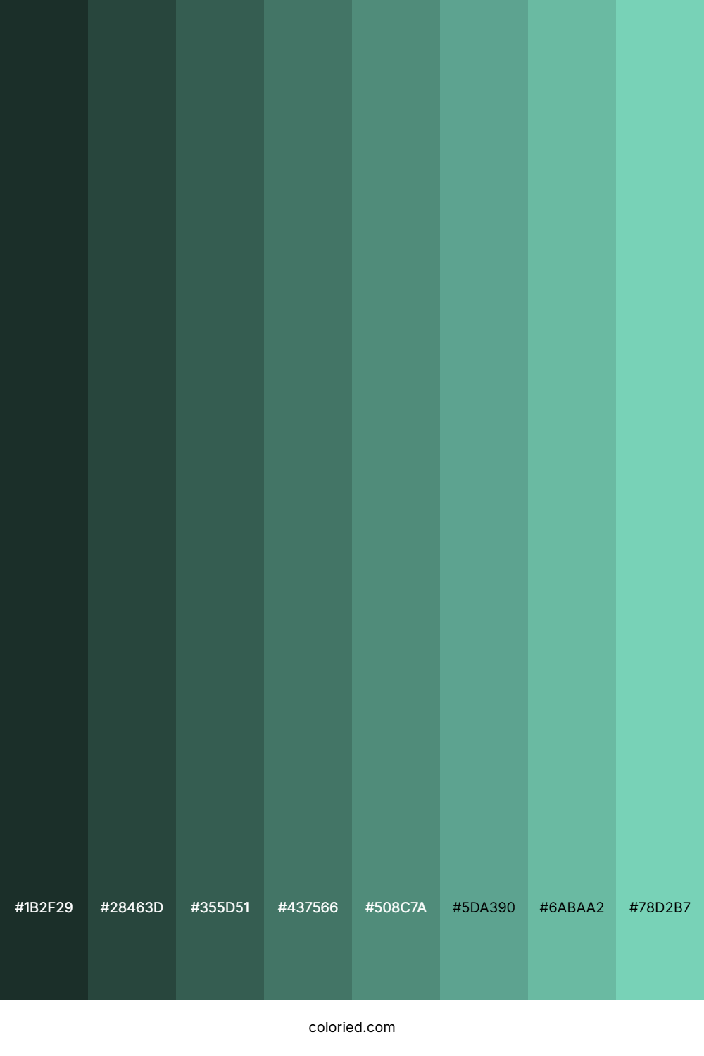 Seafoam Blue Shades