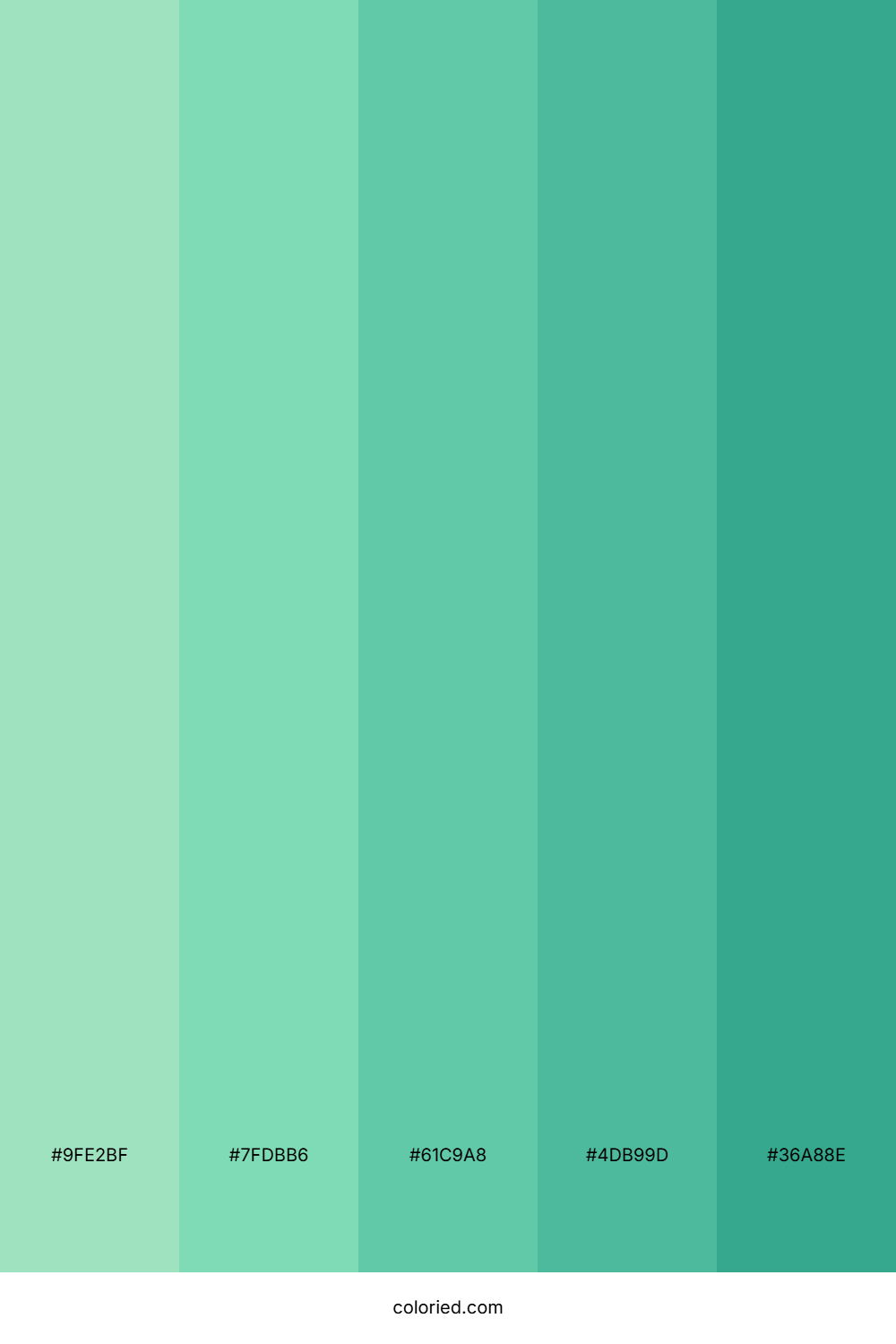 Seafoam Color Palette
