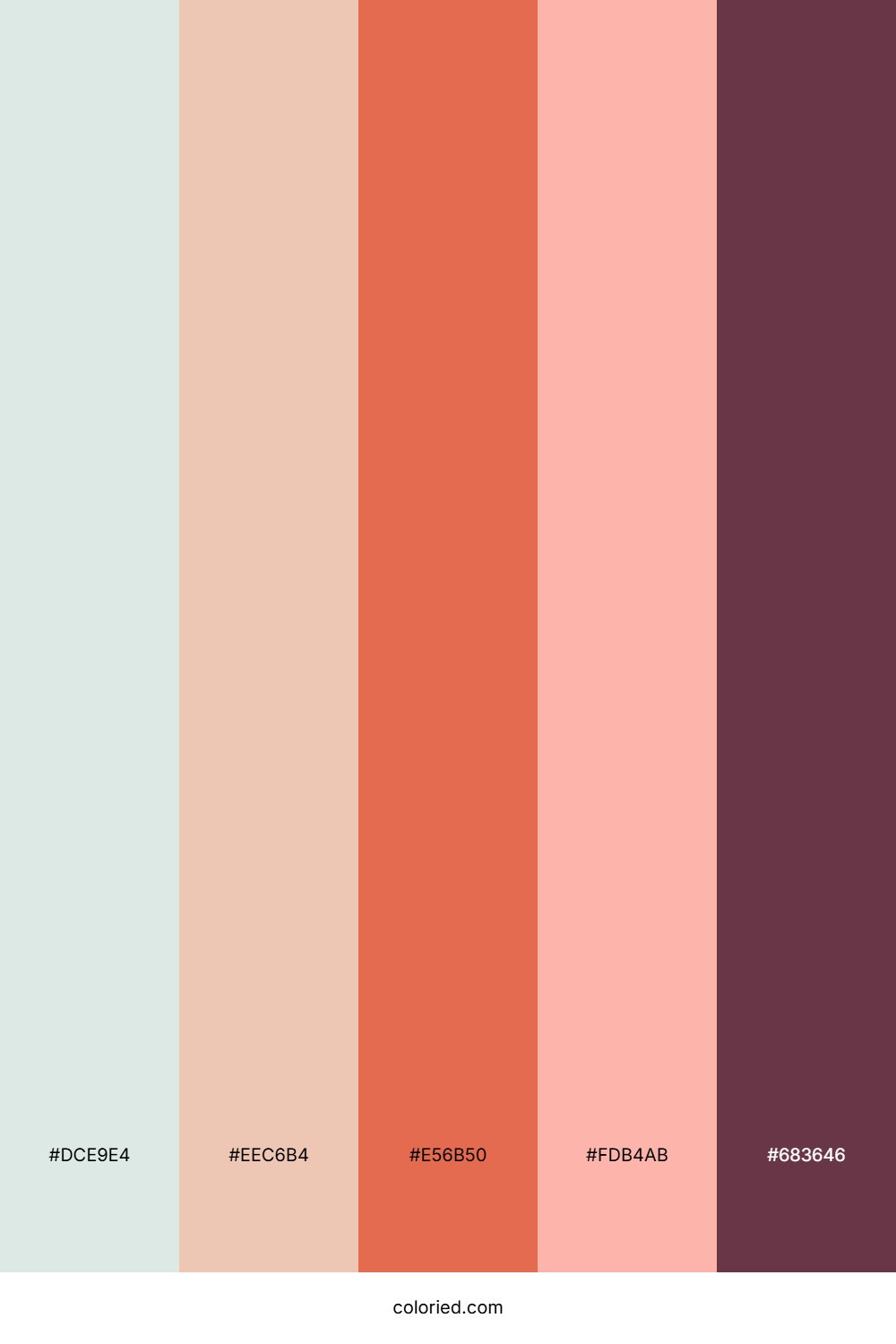Seafoam Coral Drift Color Palette