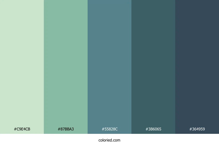 Seafoam Forest Mist Color Palette