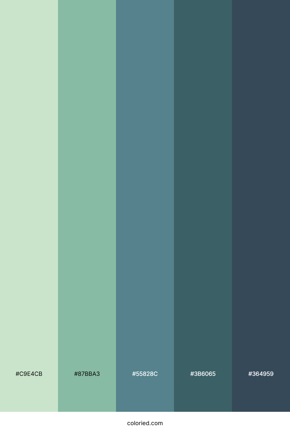 Seafoam Forest Mist Palette