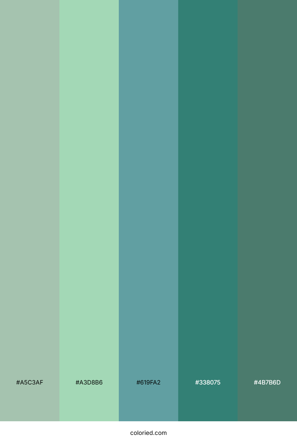 Seafoam Green and Teal Color Palette