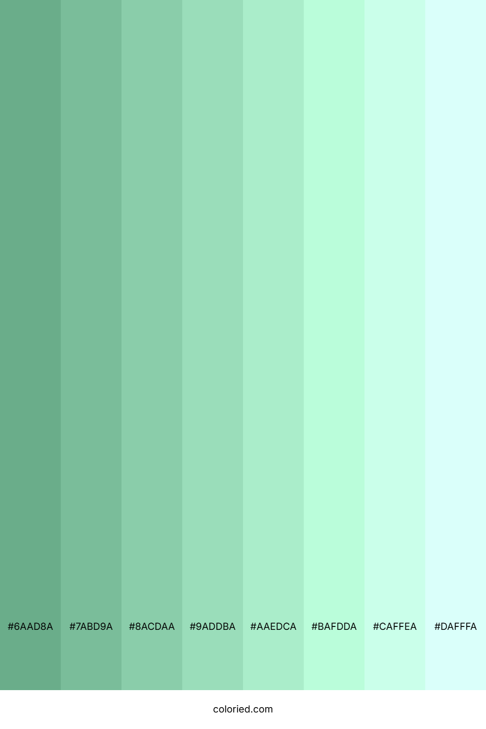 Seafoam Green Shades