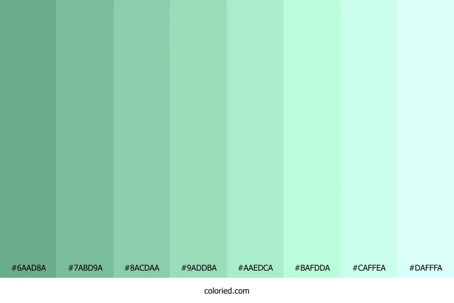 Seafoam Green Shades
