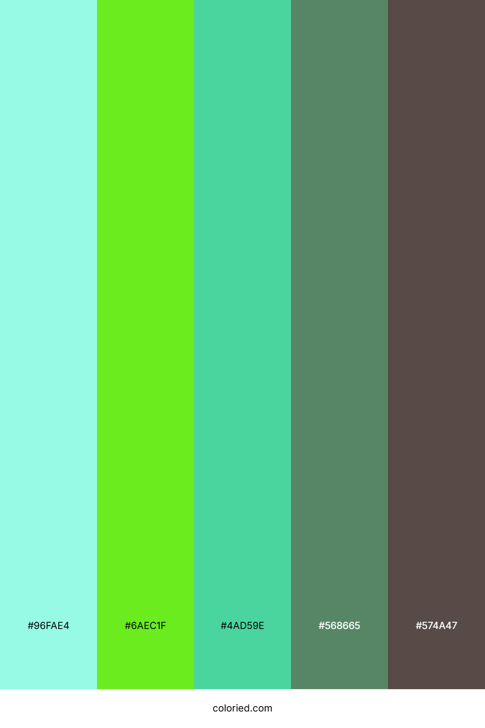 Seafoam Mint Drift Color Palette