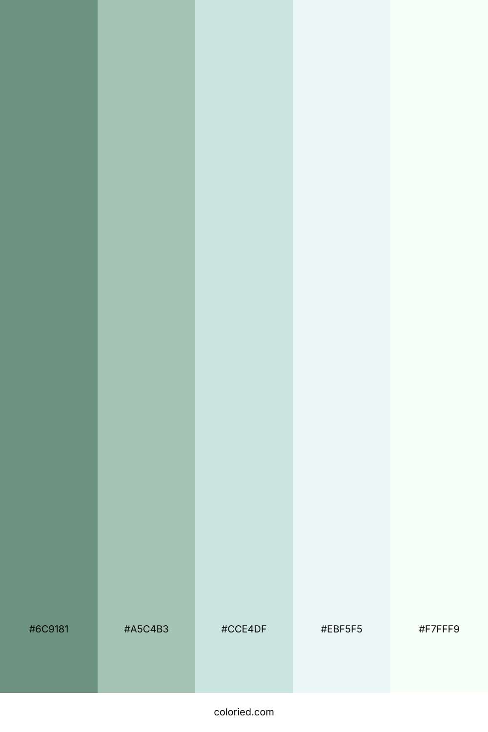 Seafoam Mist Whisper Palette
