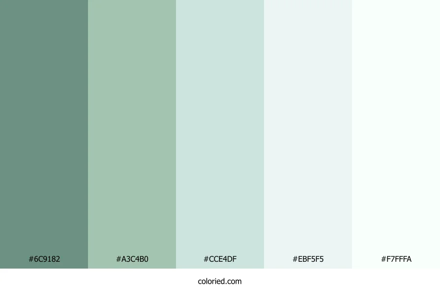 Seafoam Sage Breeze Color Palette