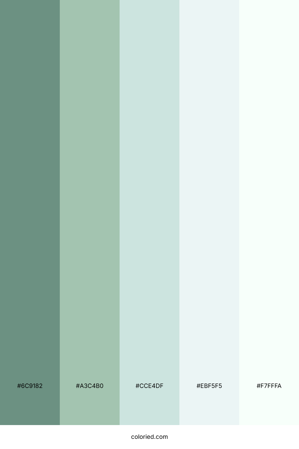 Seafoam Sage Breeze Palette