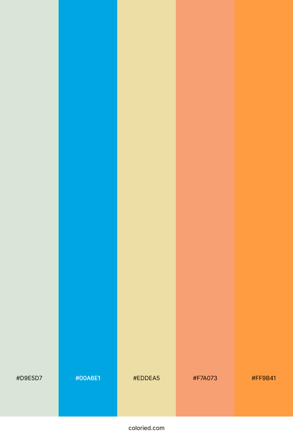 Seaside Apricot Breeze Color Palette