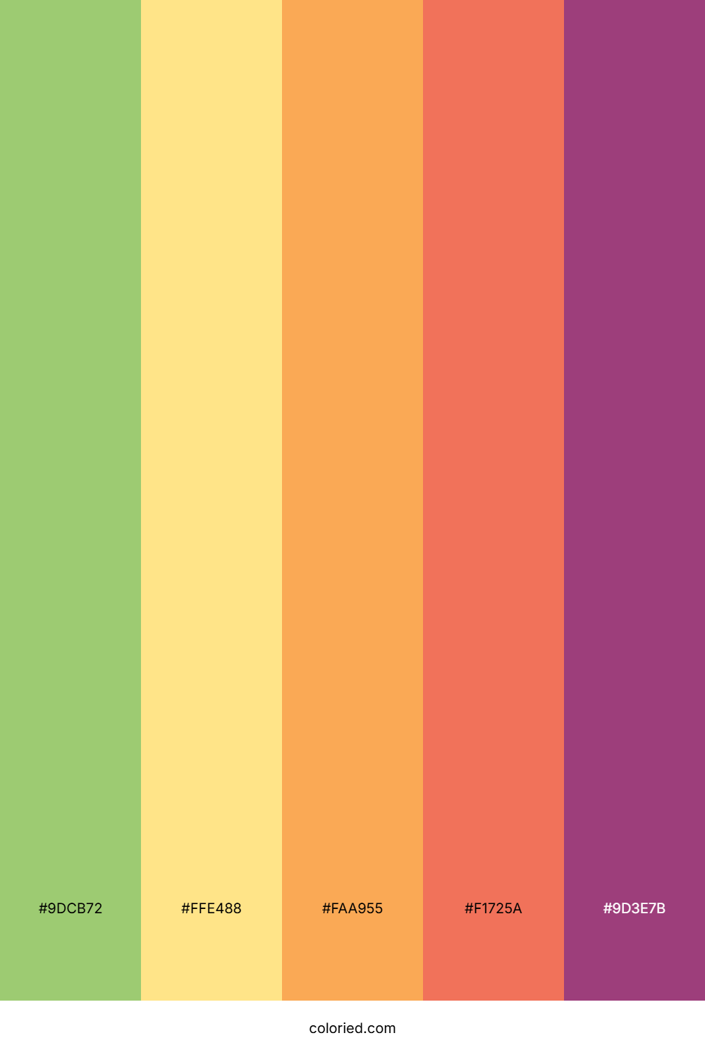 Seaside Citrus Drift Color Palette
