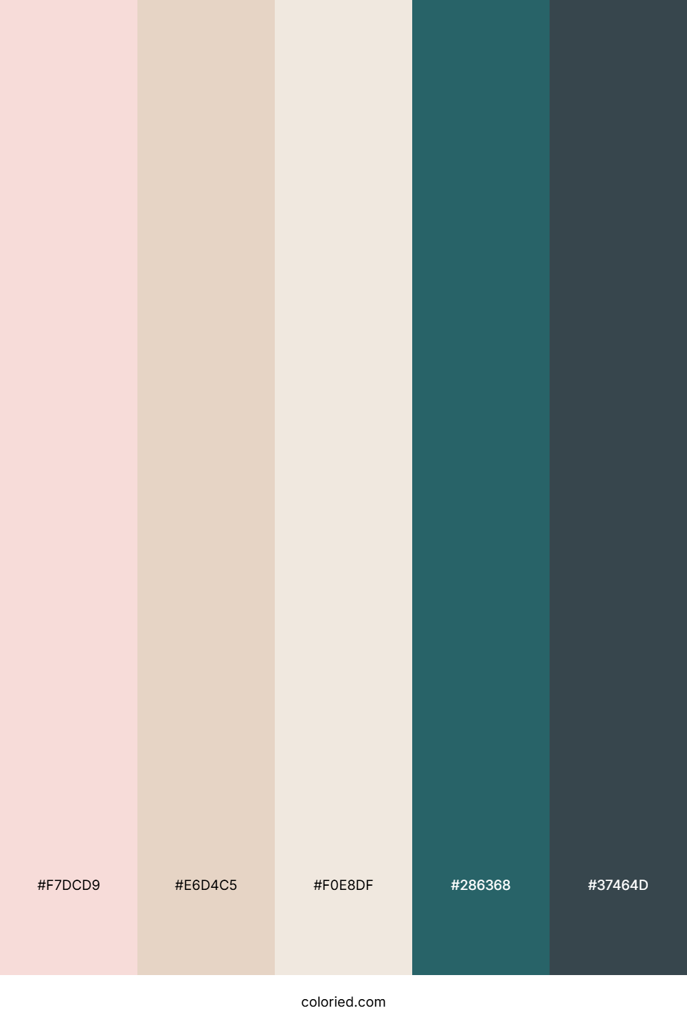 Seaside Drift Fog Color Palette