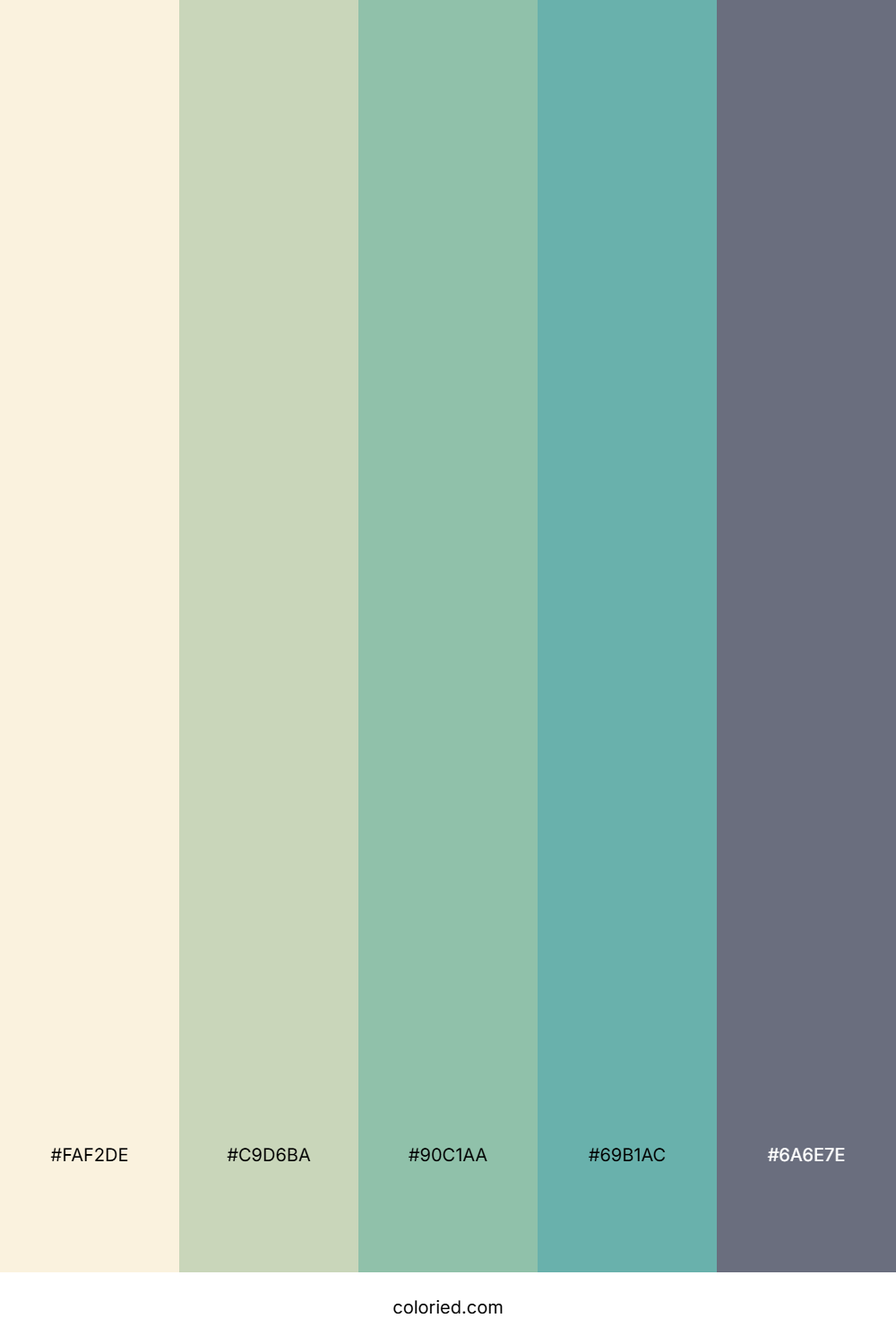 Seaside Driftwood Breeze Color Palette