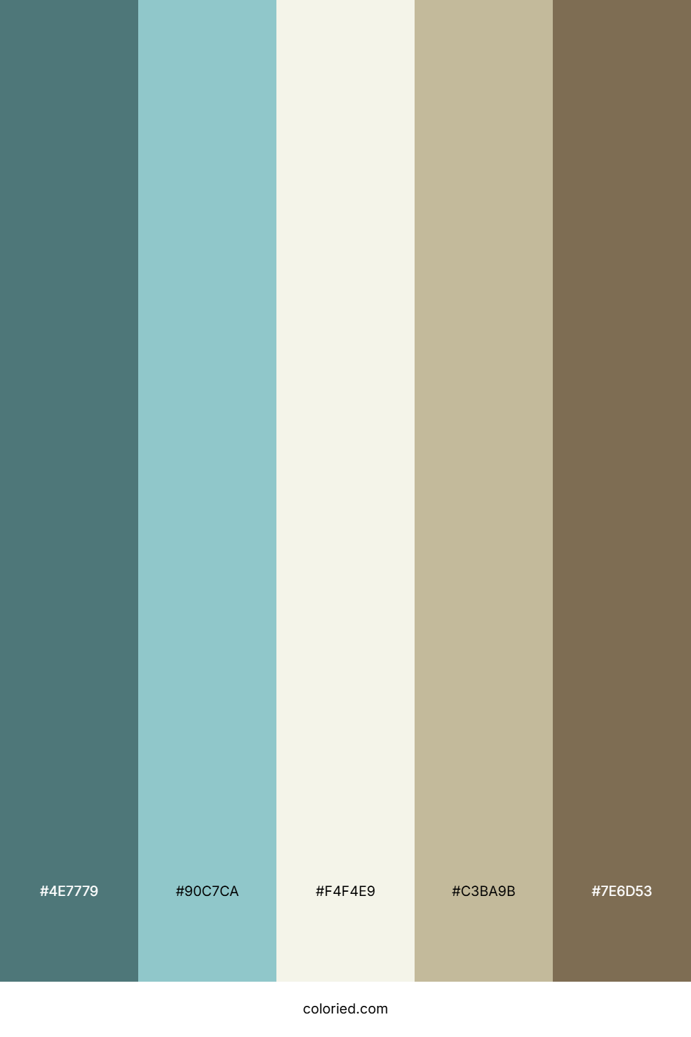 Seaside Driftwood Calm Color Palette