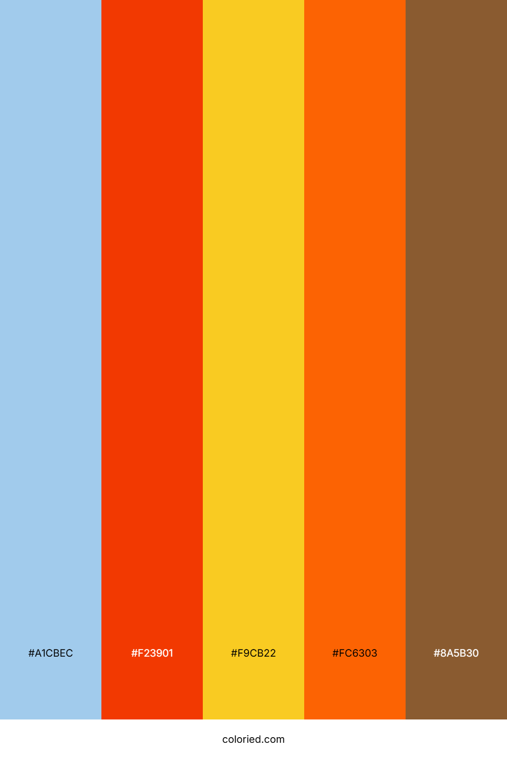 Seaside Fern Trail Color Palette