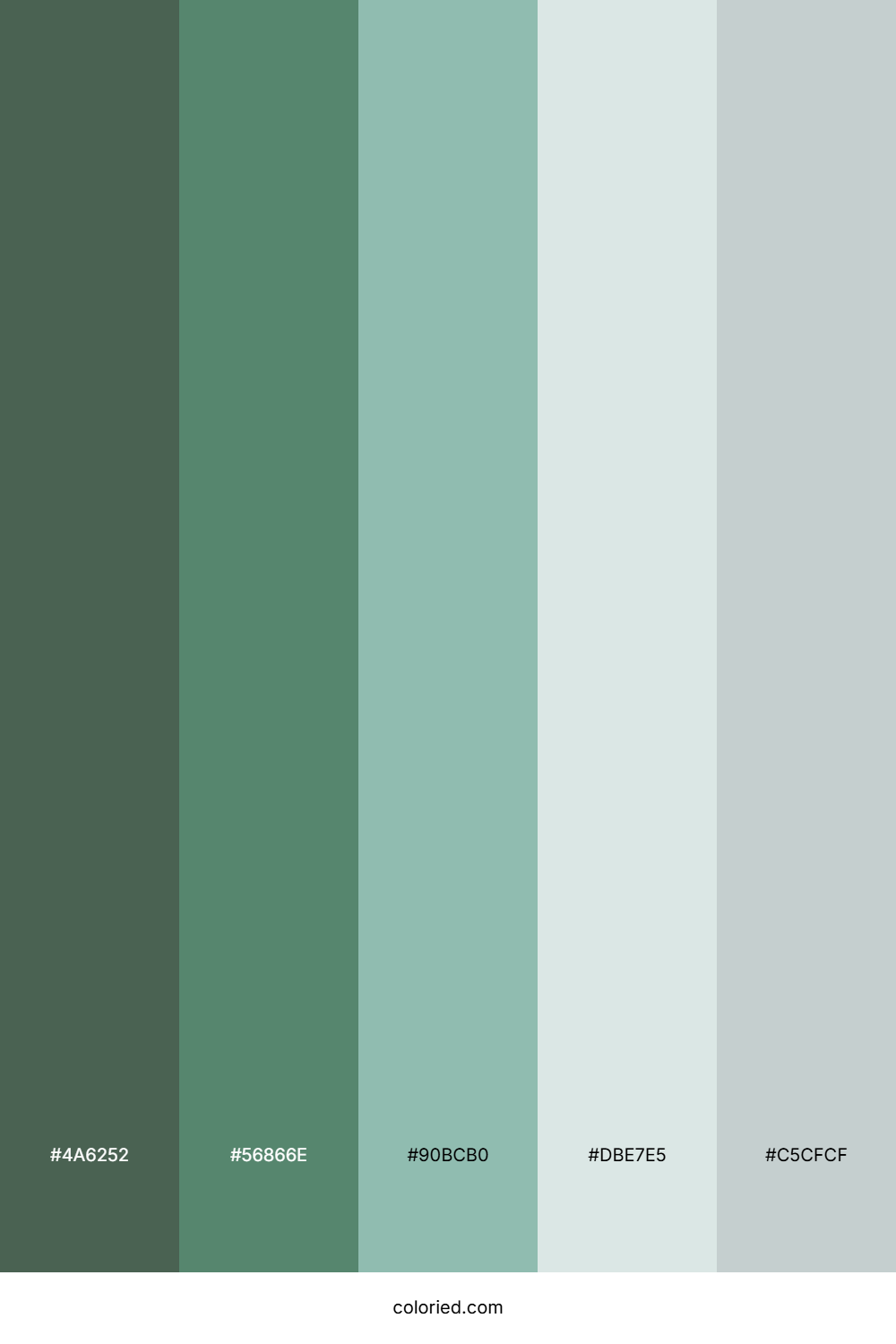 Seaside Pine Breeze Color Palette