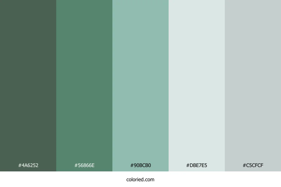 Seaside Pine Breeze Color Palette