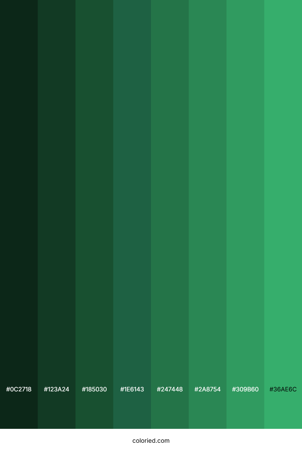 Seaweed Green Color Shades