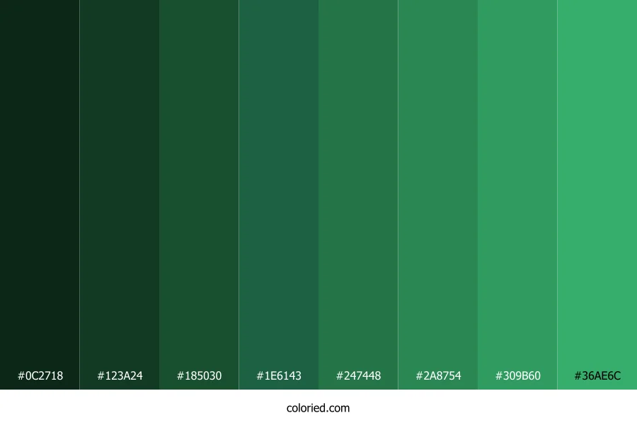 Seaweed Green Color Shades