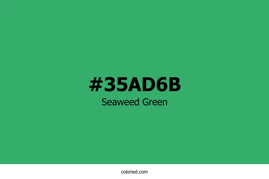 Seaweed Green Color