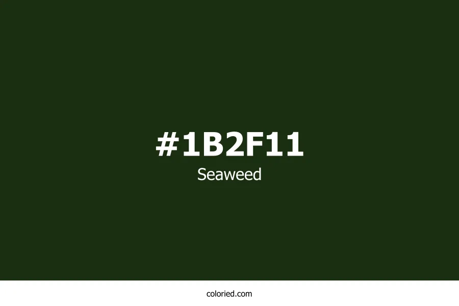 Seaweed Color
