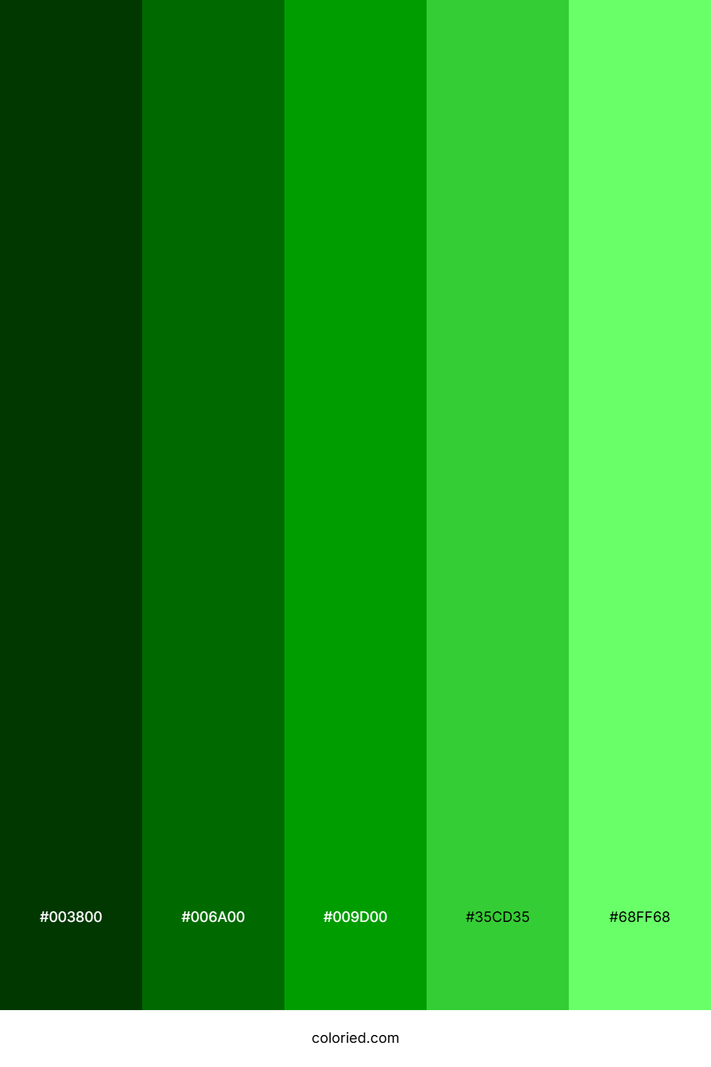 Shade of Green Color Palette