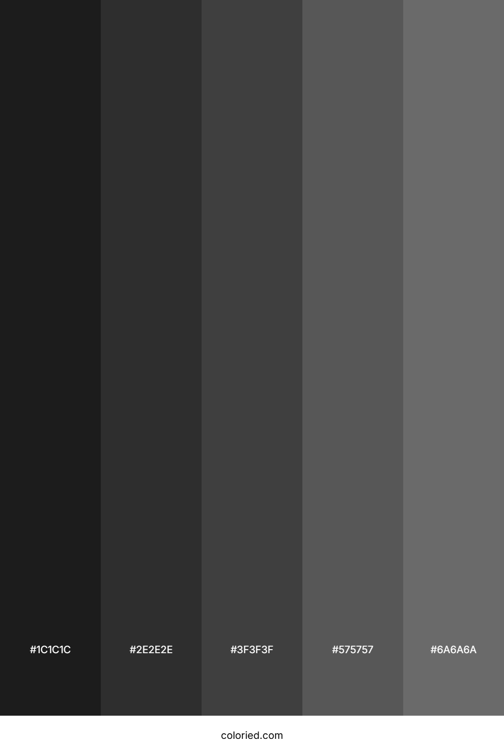Shadow Color Palette